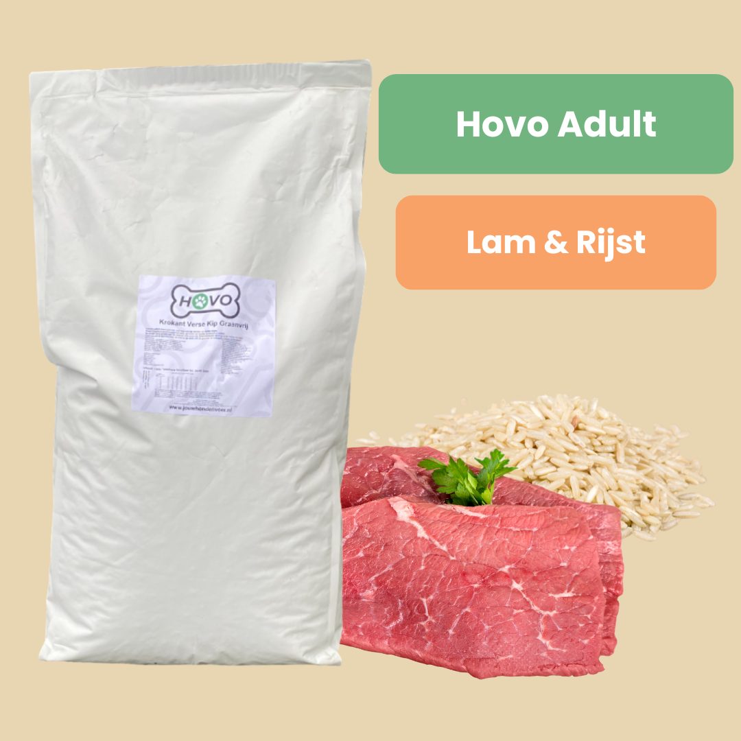 Hovo Adult Lam en Rijst